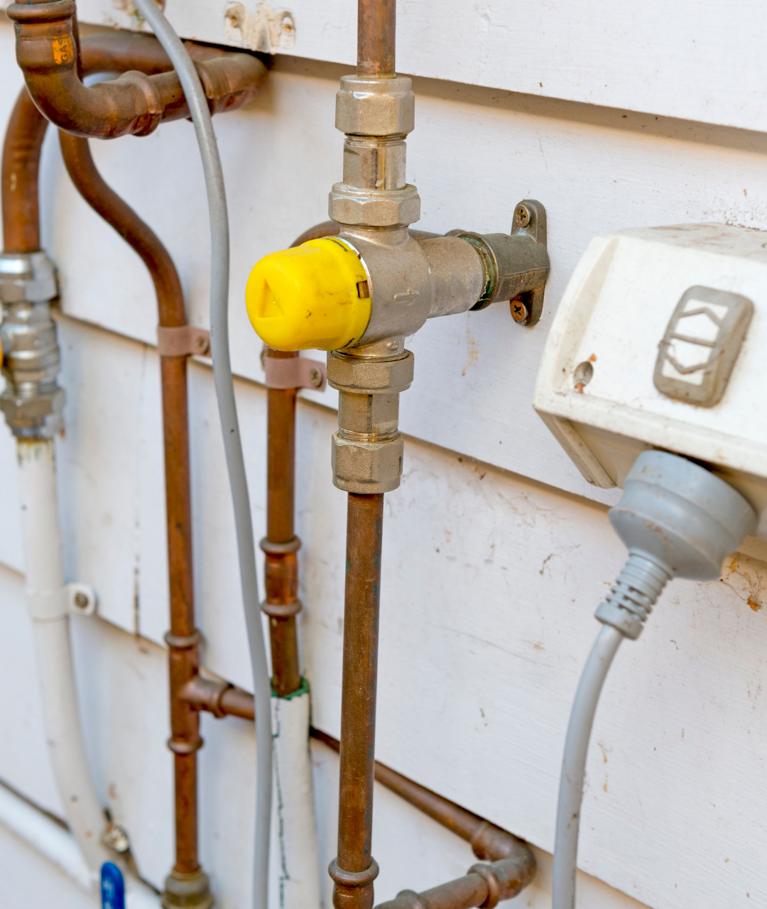 Untitled design (18)