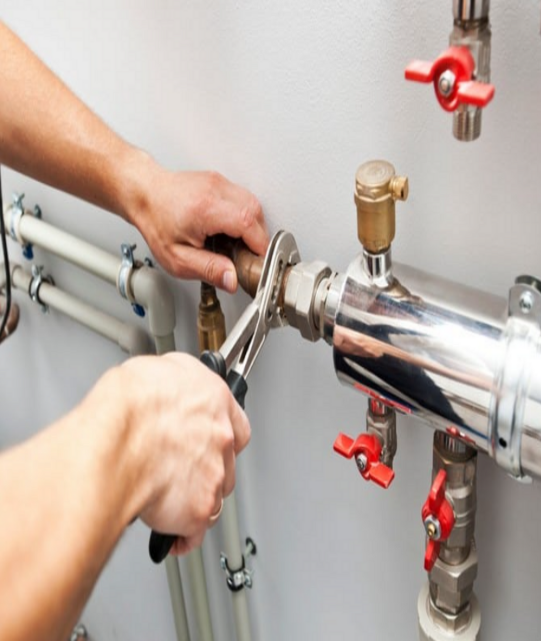 Untitled design (21)