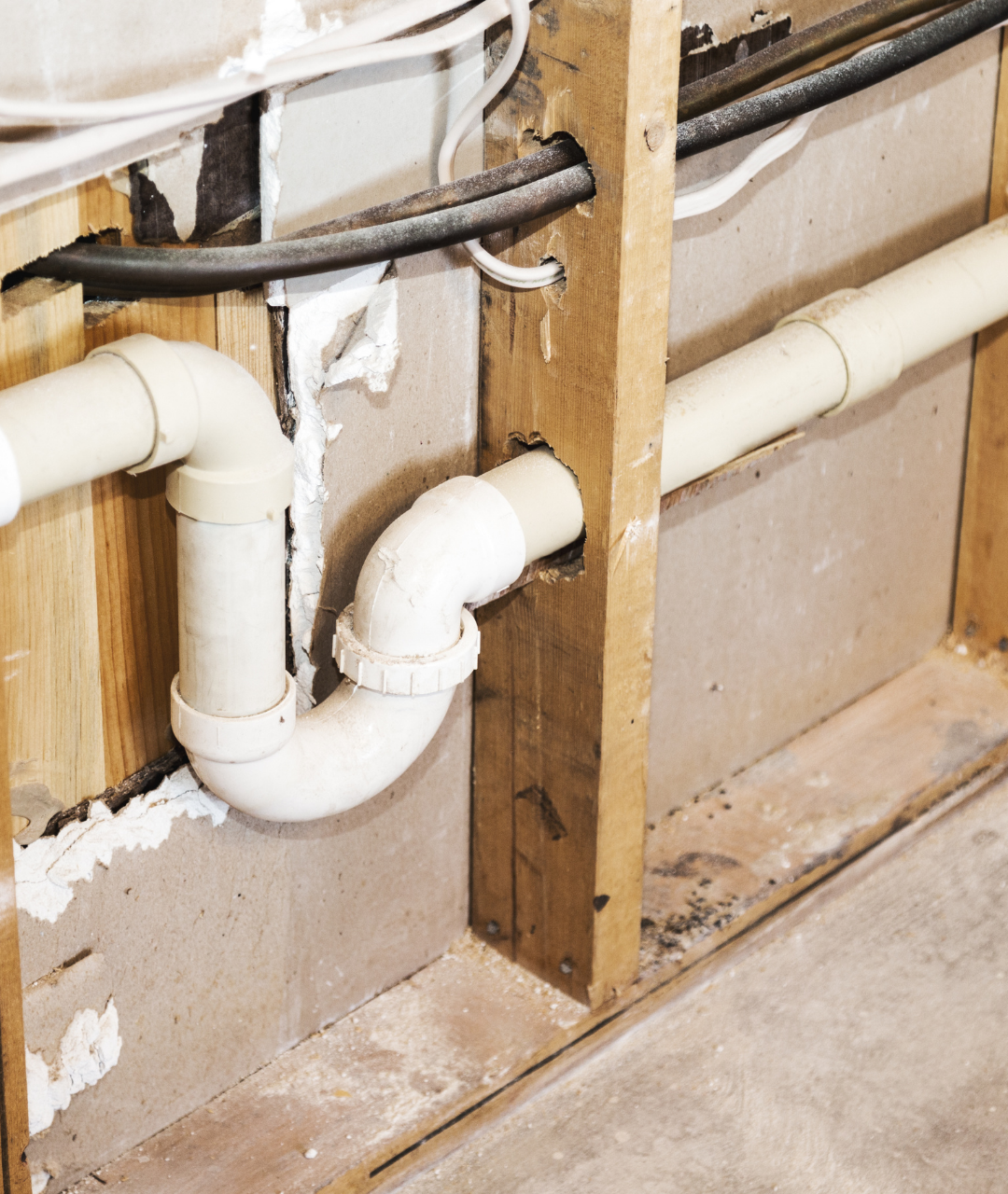 Untitled design (22)